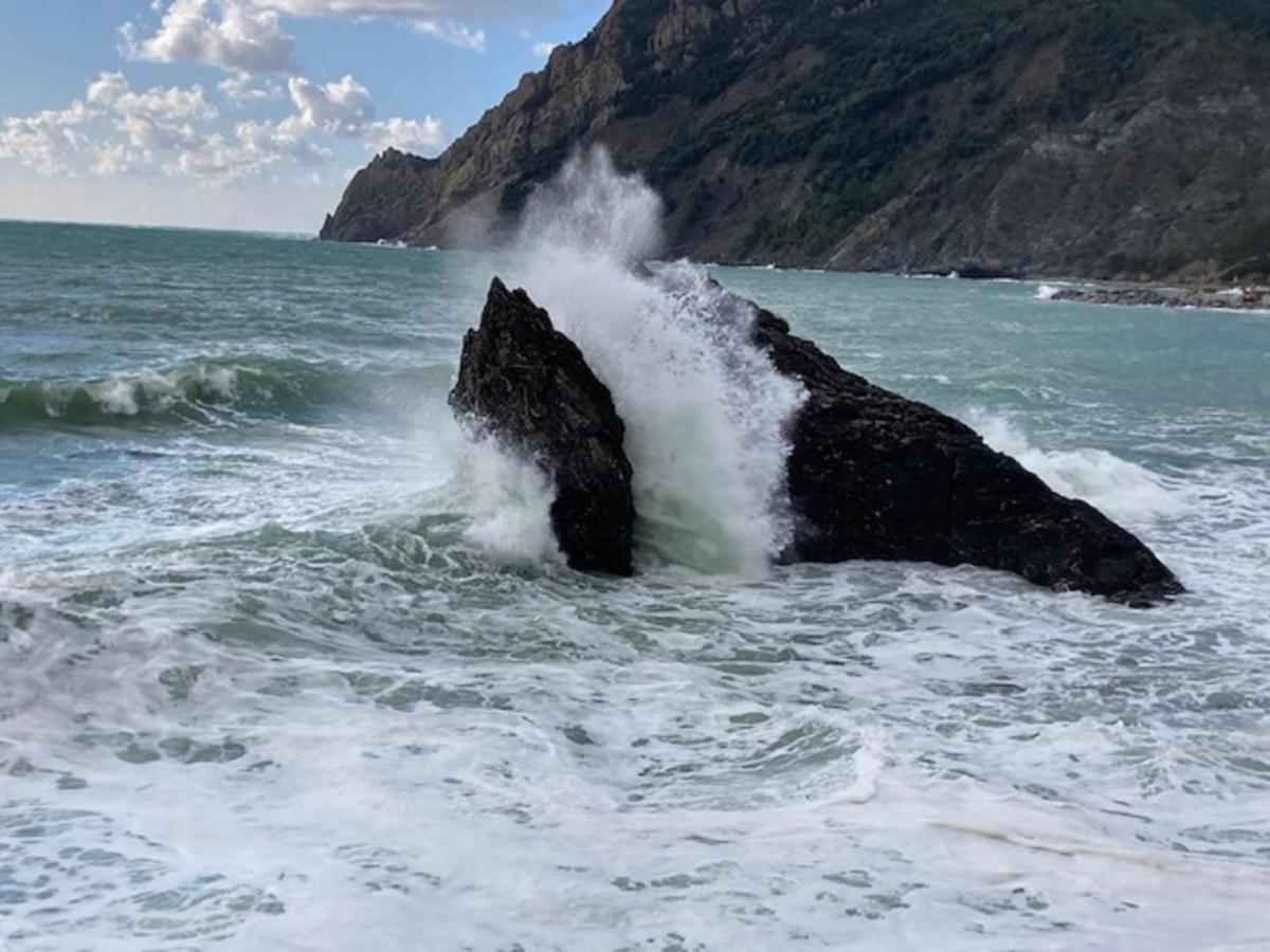 La Gemma Di Monterosso, In Centro Vicino Al Mare Lejlighed Monterosso al Mare Eksteriør billede